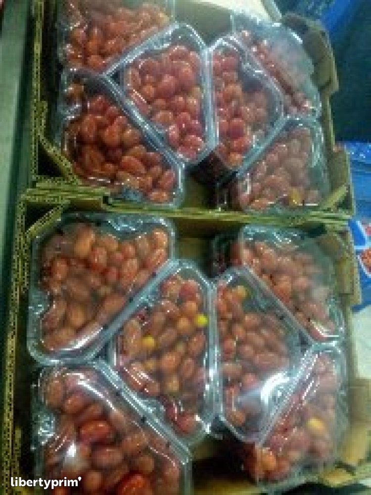 Tomato Import & Export - MA.STAND | Libertyprim