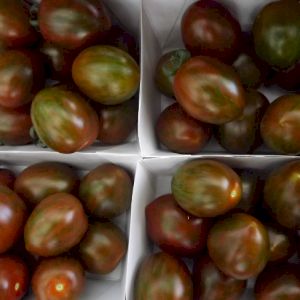 Tomato Cherry