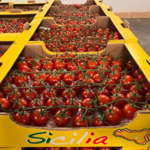 Tomato Round Cherry