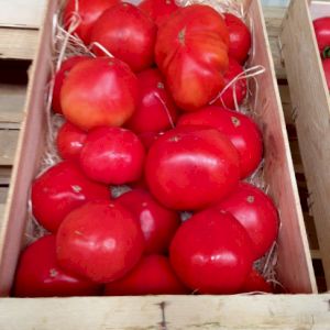 Tomato Beefsteak