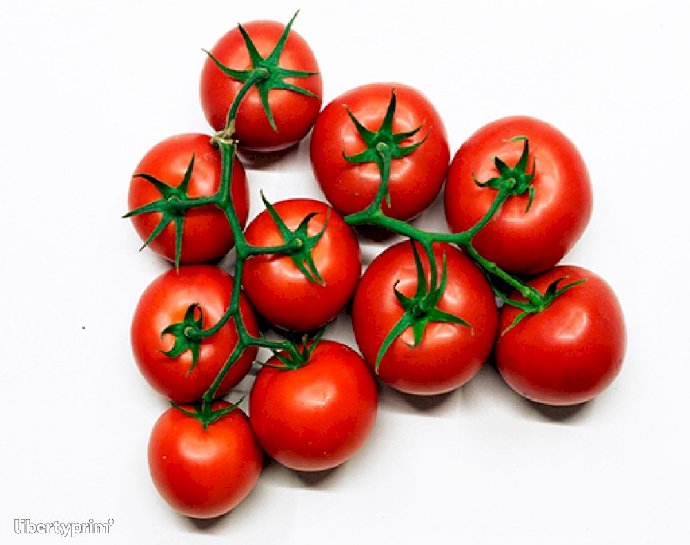 TOMATE CERISE GRAPPE espagne cat 2 - Salades, tomates, courgettes,  poivrons, aubergines - Légumes - Au jardin de Johana