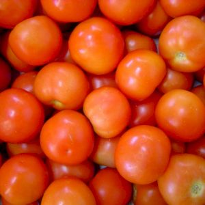 Tomato Round