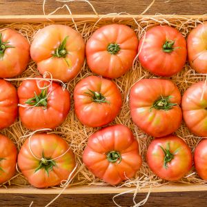 Pomodoro Rosa