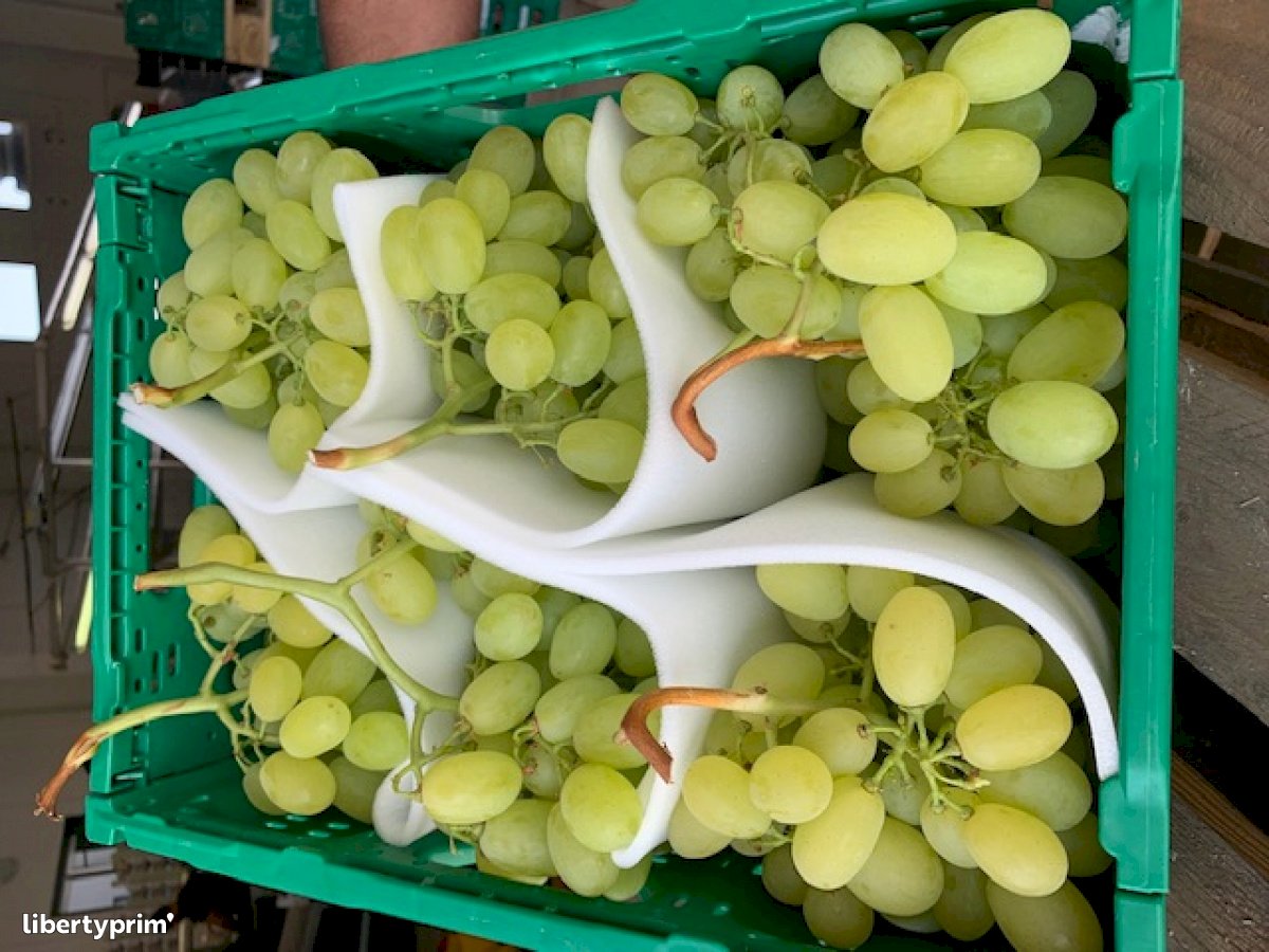 Grapes Vittoria Class 1 Italy Conventional Grower - GB Italia | Libertyprim