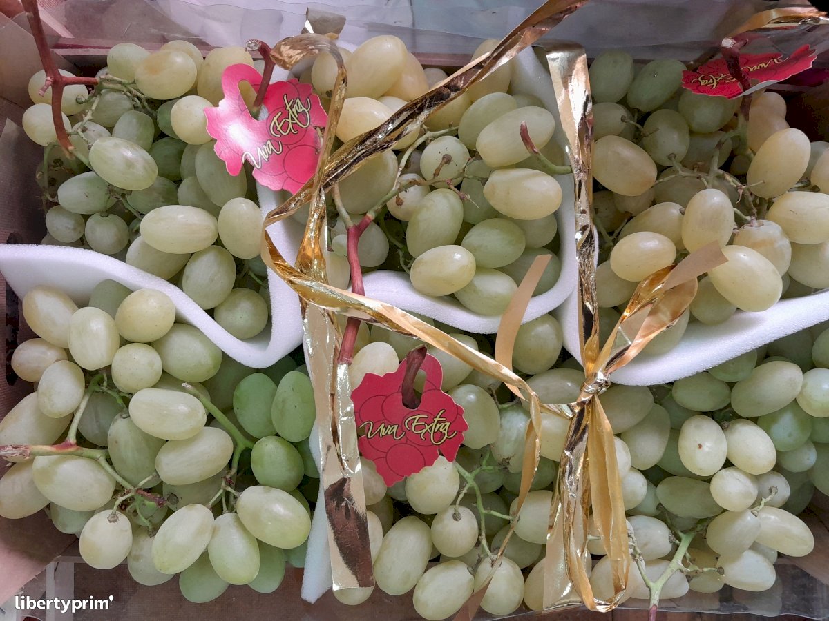 Grapes Vittoria Extra Italy Conventional Grower - Sfiziosi | Libertyprim