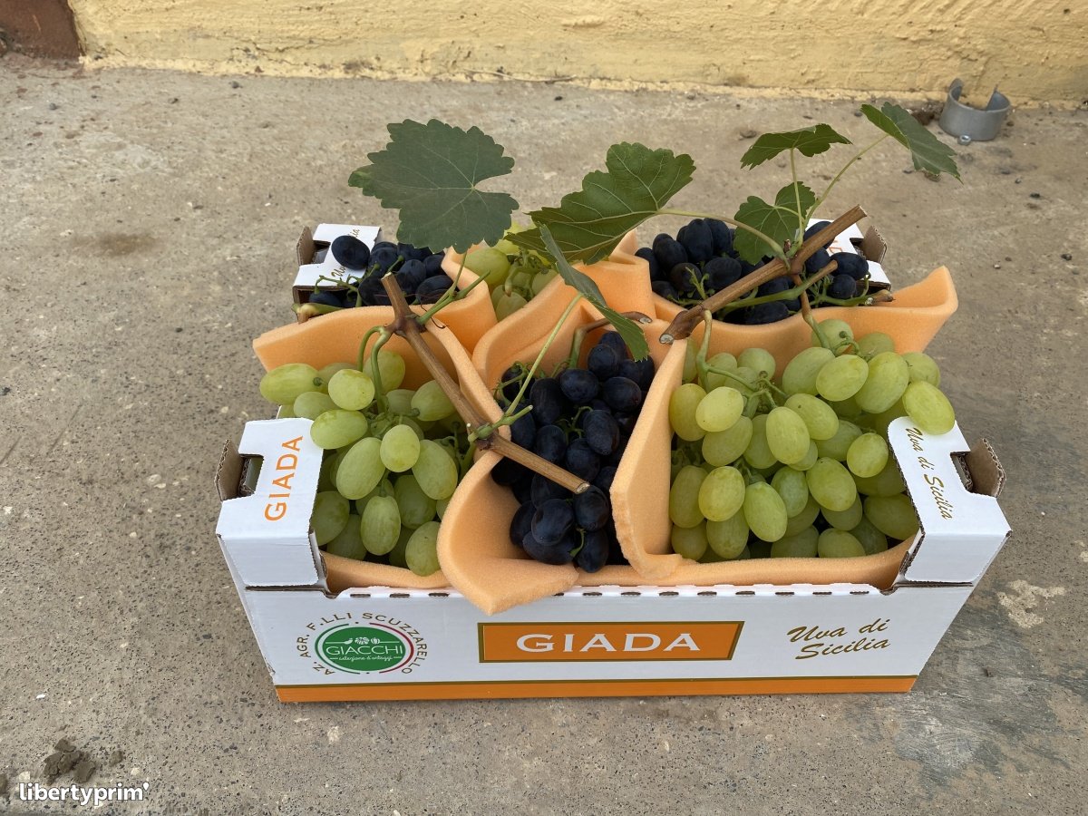 Grapes Vittoria Class 1 Italy Producer - Azienda agricola dei flli scuzzarello | Libertyprim