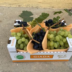 Grapes Vittoria