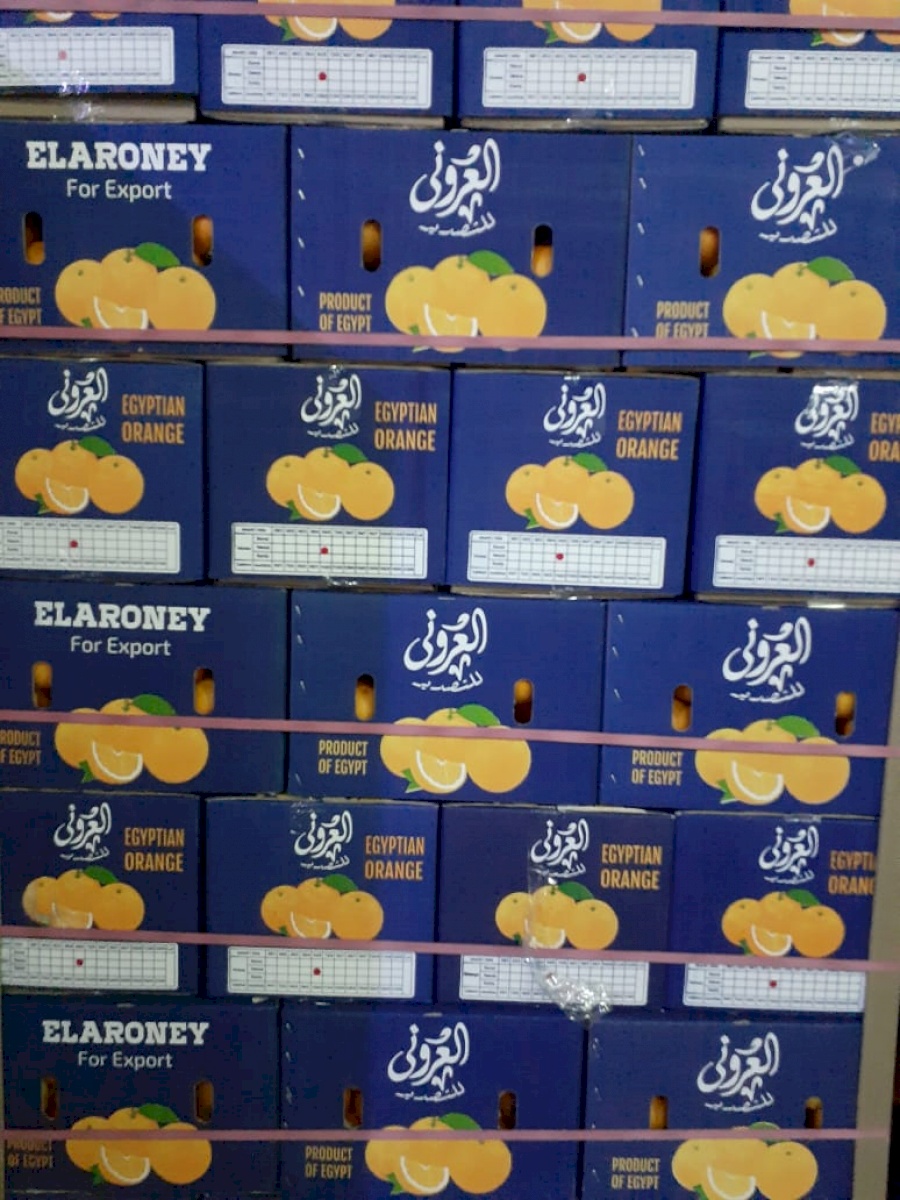 ElARONEY For Export