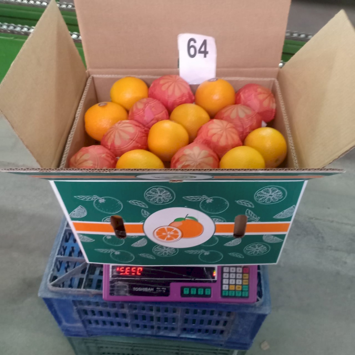 Elbardy for export and import