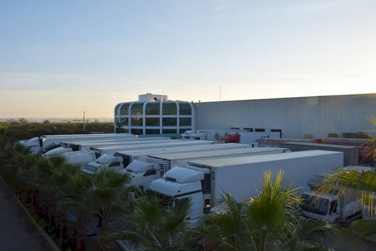 Eren Fresh Fruits & Vegetables Export Import & Export Akdeniz Turquie