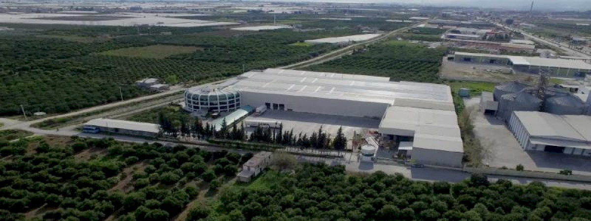 EREN TARIM