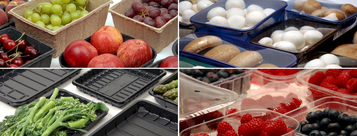 EVESHAM SPECIALIST PACKAGING