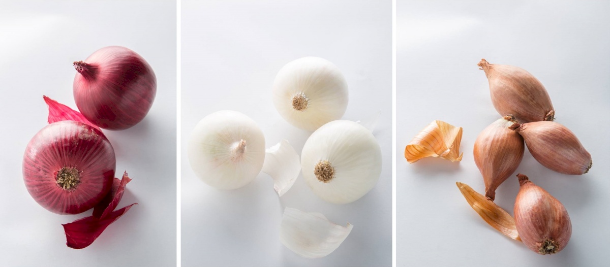 FERME DE LA MOTTE Producteur Talcy France Libertyprim