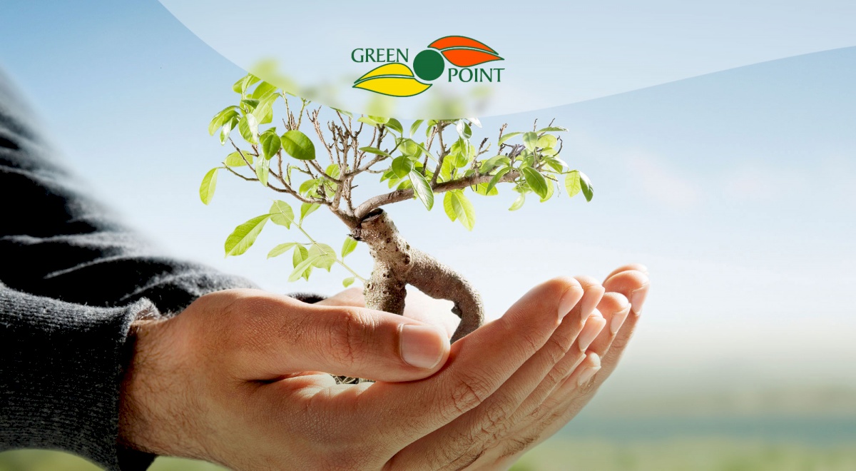 GREEN POINT FERTILIZERS