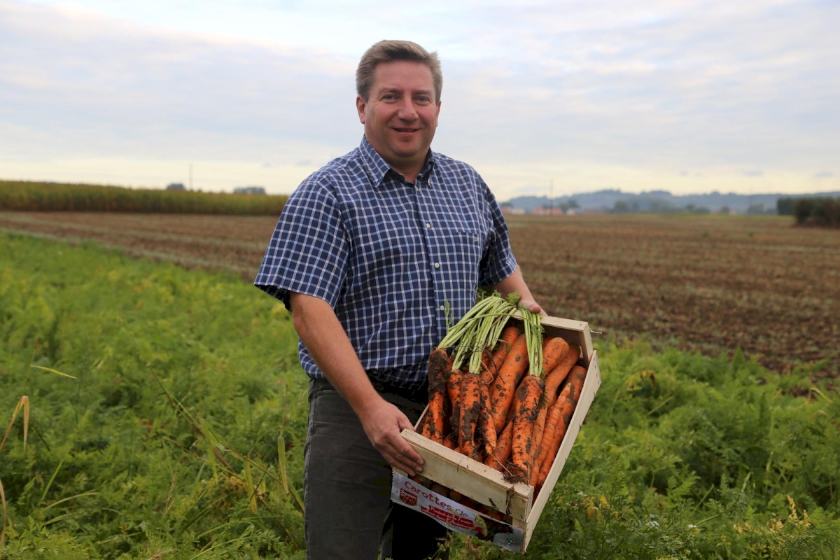 La carotte de Tilques - Gastronomie Hauts-de-France