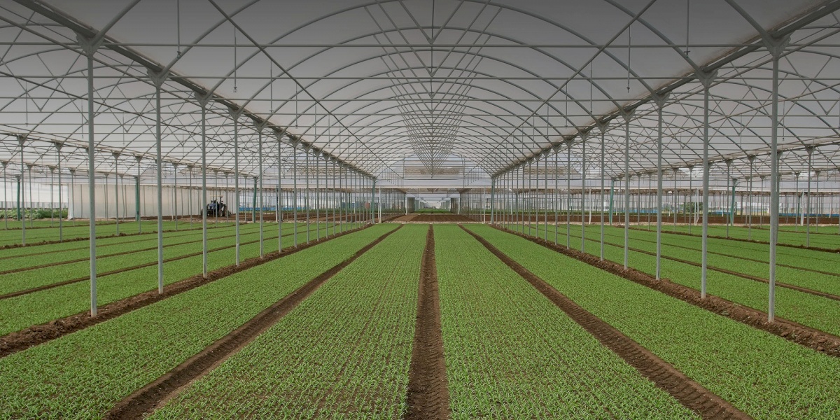 Ortomad Società Agricola