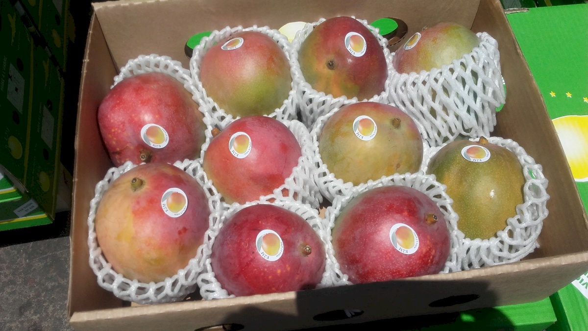 Agri tropic