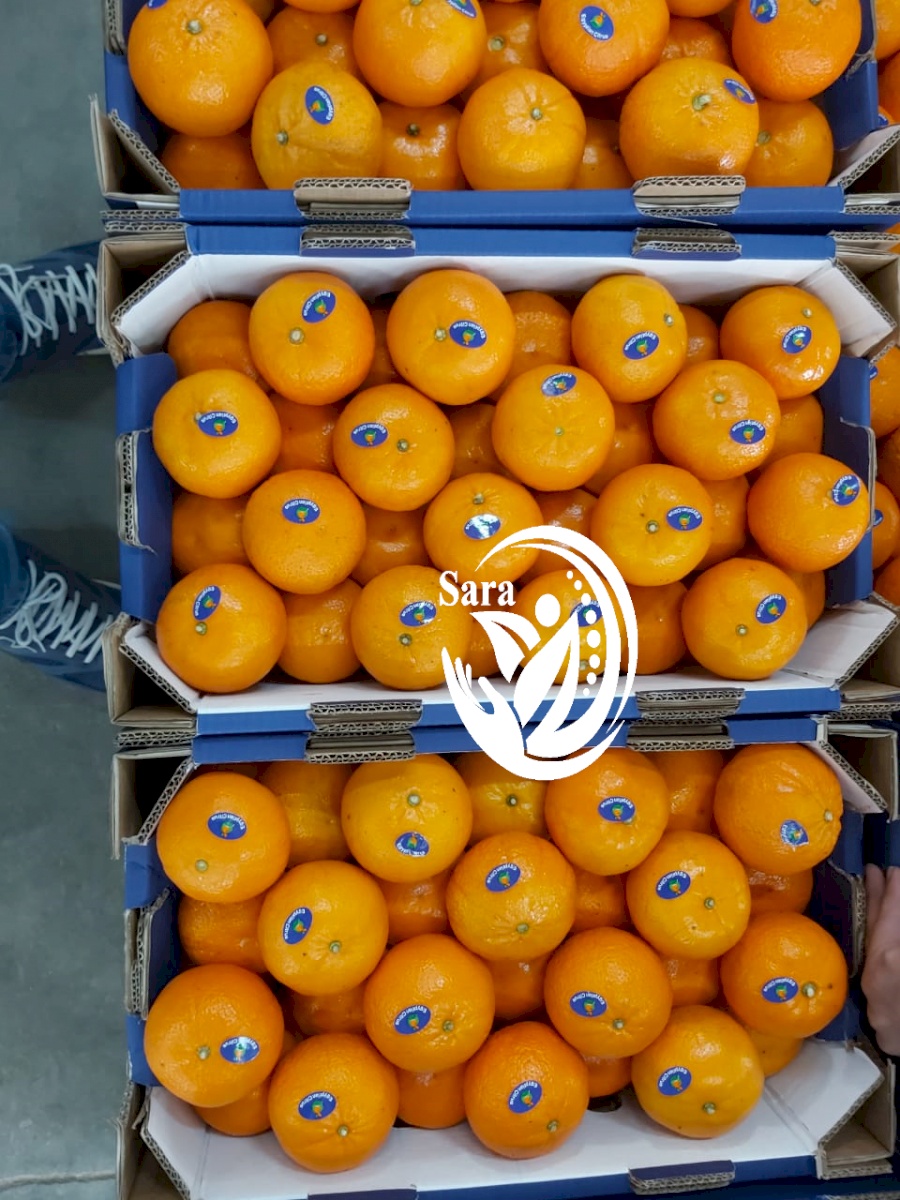 Elbardy for export and import