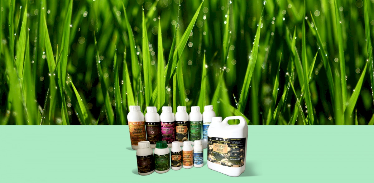 GREEN POINT FERTILIZERS