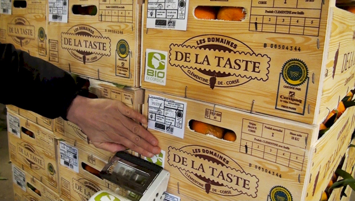 Les Domaines de la Taste Producteur Tallone France | Libertyprim