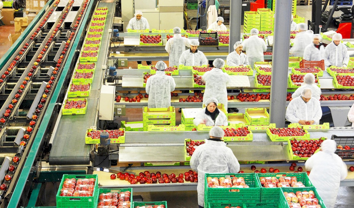 MESFRUITS Sarl Conventional Grower Cavaillon France Libertyprim