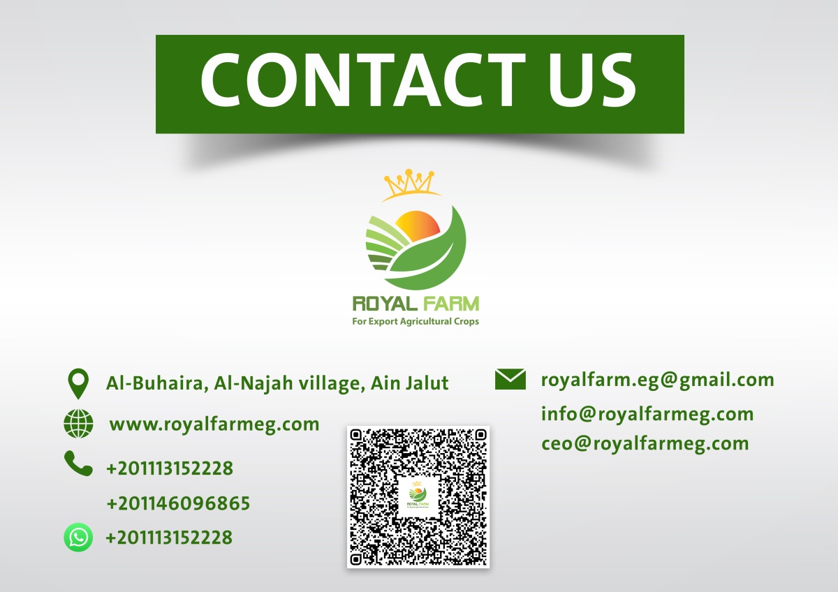 Royal Farm Import & Export Al-Buhaira, Al-Najah Village Ain Jalut Egypt ...