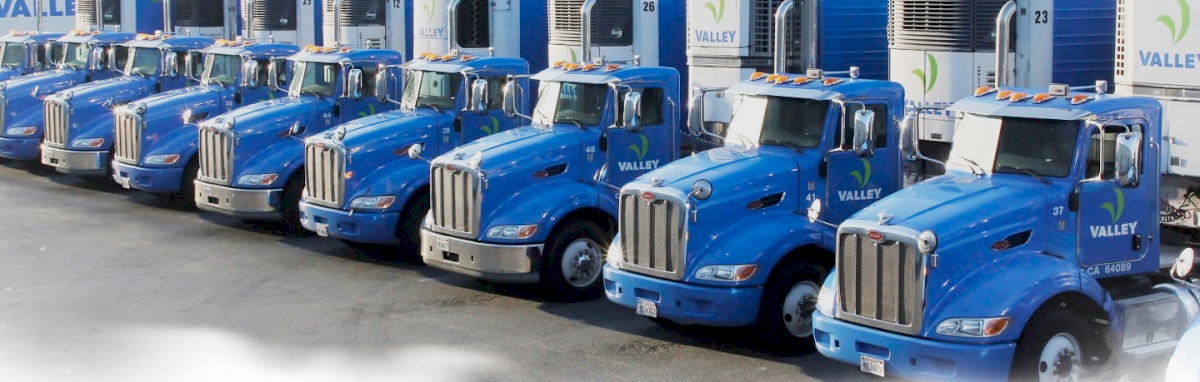Val Procucer Valley Fruit & Vegetable Import & Export Los Angeles United States ...