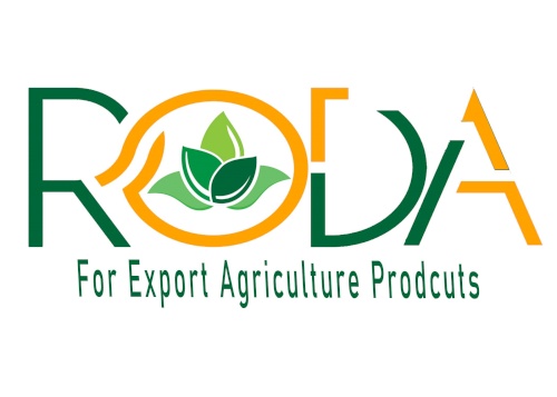 Life for Import and Export