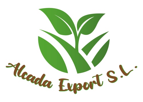ALCADA EXPORT