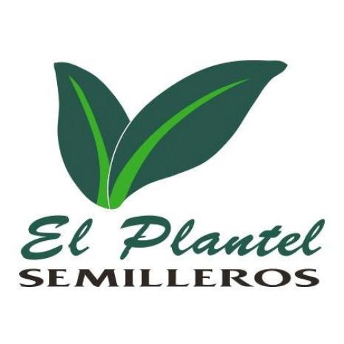 El Plantel Semilleros