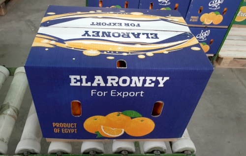 ElARONEY For Export