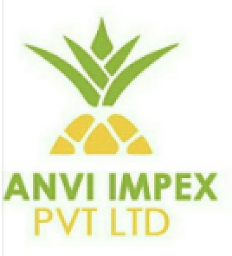 JANVI IMPEX PVT LTD 