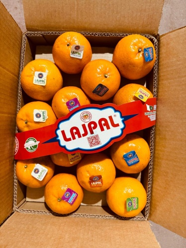 All fruit and vegetable professionals: Pakistan | Libertyprim