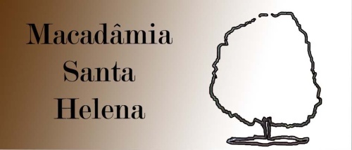 Macadamia Santa Helena