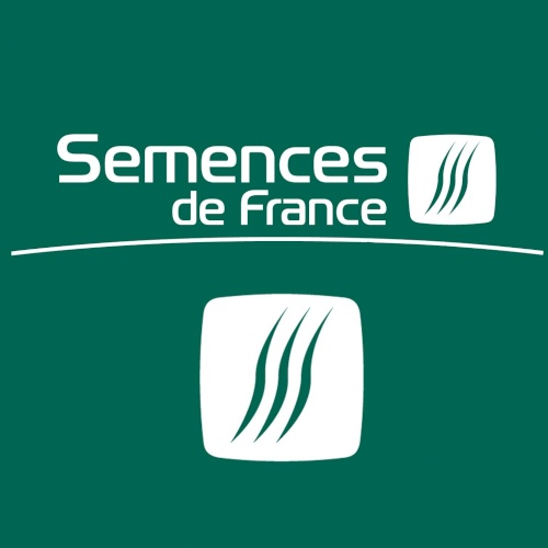 SEMENCES DE FRANCE Piante & Semi La Chapelle-d'ArmentiÃ¨res Francia |  Libertyprim