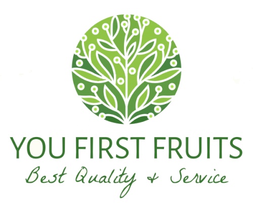 YOU FIRST FRUITS S.L.