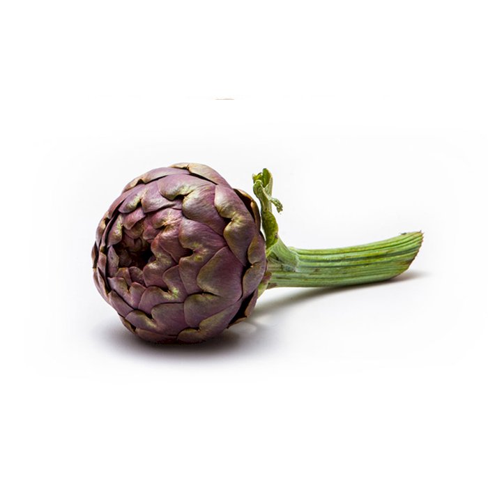 Artichoke Apollo