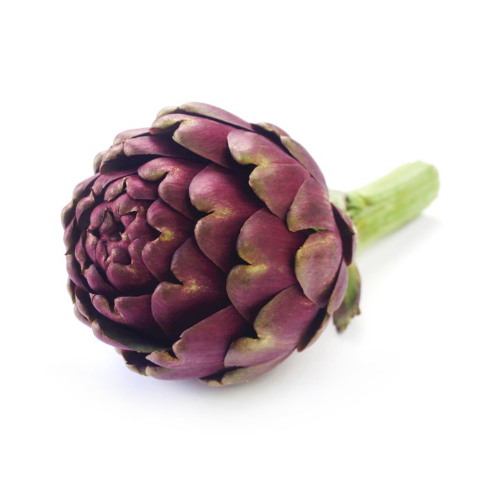 Artichoke Purple