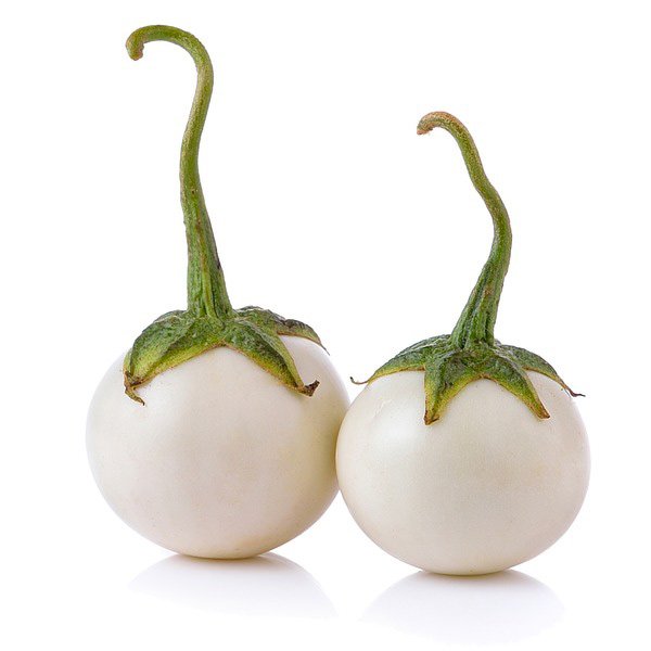 Eggplant Garden Egg