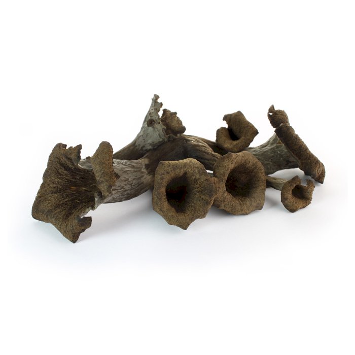 Mushroom Black Trumpet