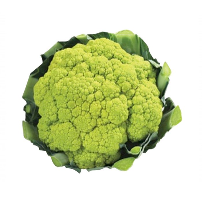 Cabbage Vegetables Varieties Production Seasonality Libertyprim