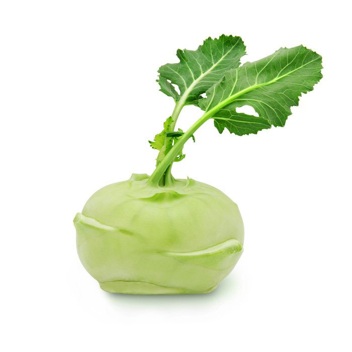 Cabbage Kohlrabi