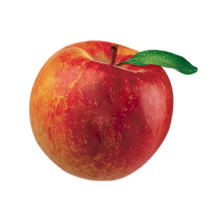 Apple Antares