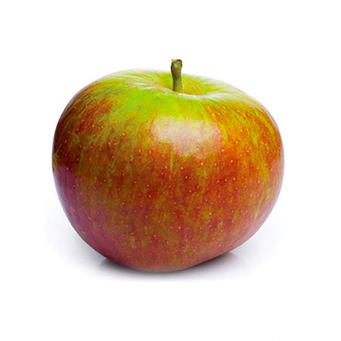 Apple Cox's Orange